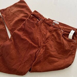 Agolde burnt orange corduroy pants - size 32 NWT